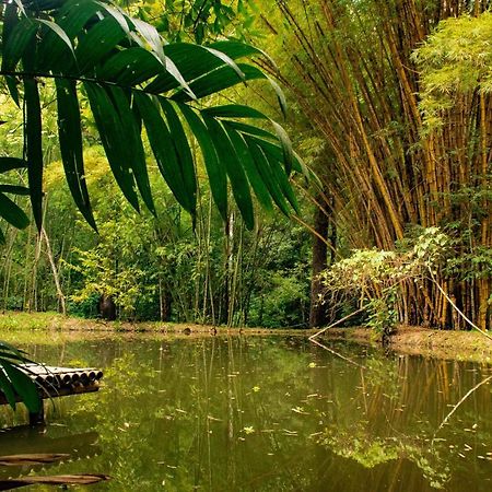 Reserva Biologica Caoba Bonda Exteriér fotografie