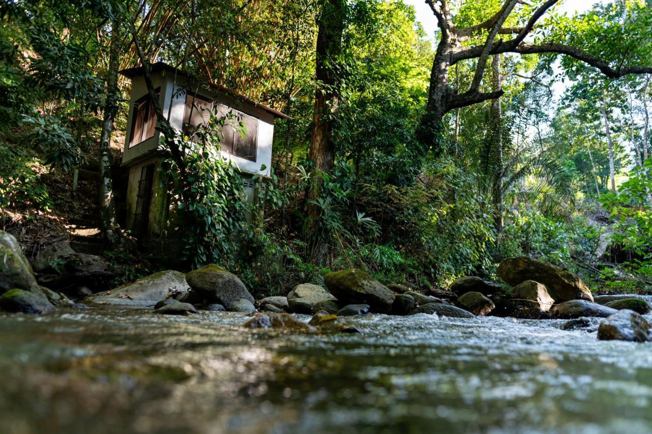 Reserva Biologica Caoba Bonda Exteriér fotografie