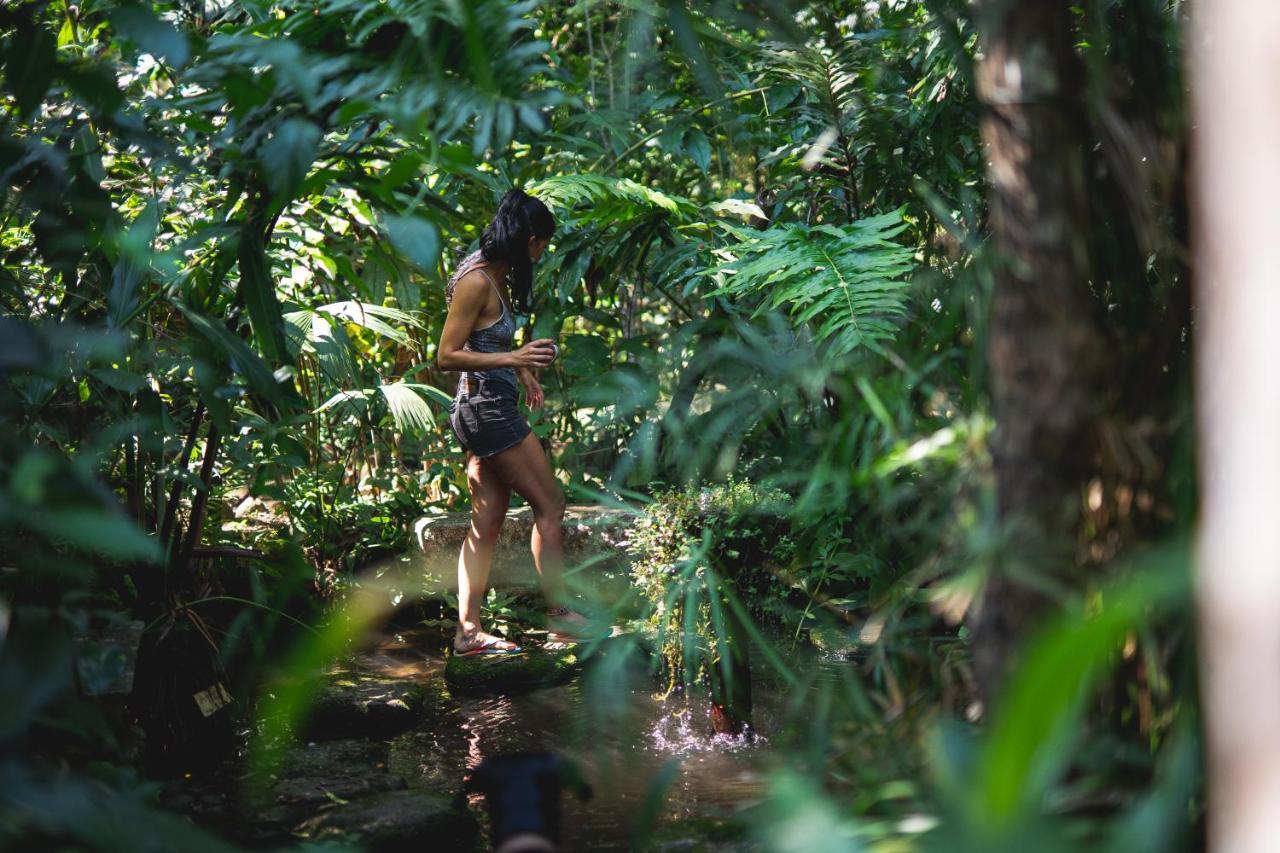 Reserva Biologica Caoba Bonda Exteriér fotografie