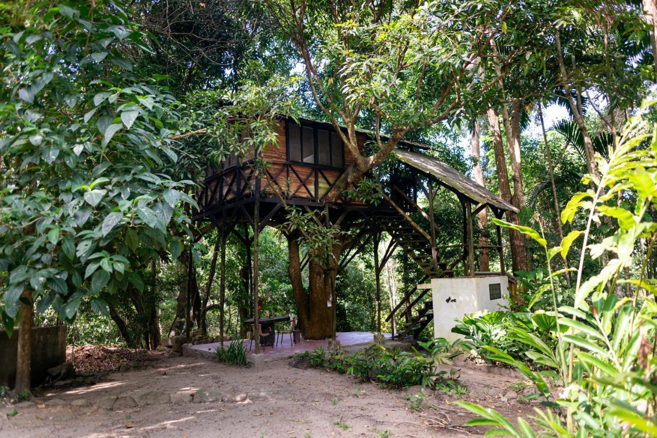 Reserva Biologica Caoba Bonda Exteriér fotografie