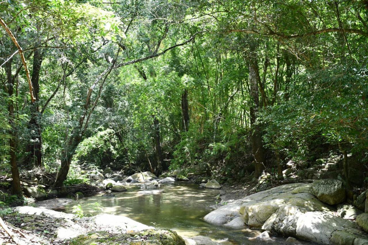 Reserva Biologica Caoba Bonda Exteriér fotografie