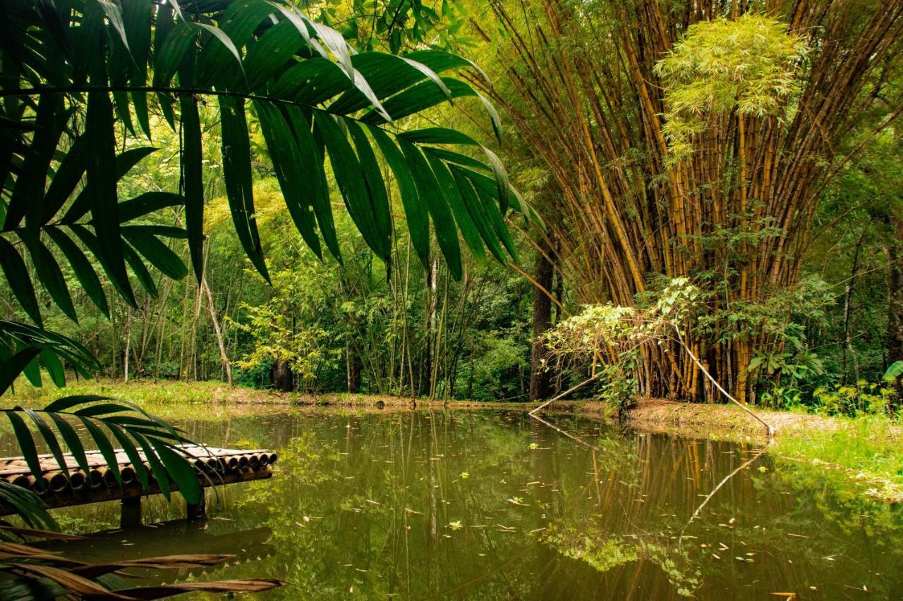 Reserva Biologica Caoba Bonda Exteriér fotografie