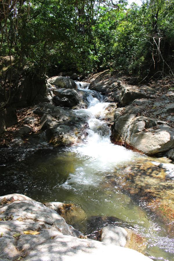 Reserva Biologica Caoba Bonda Exteriér fotografie